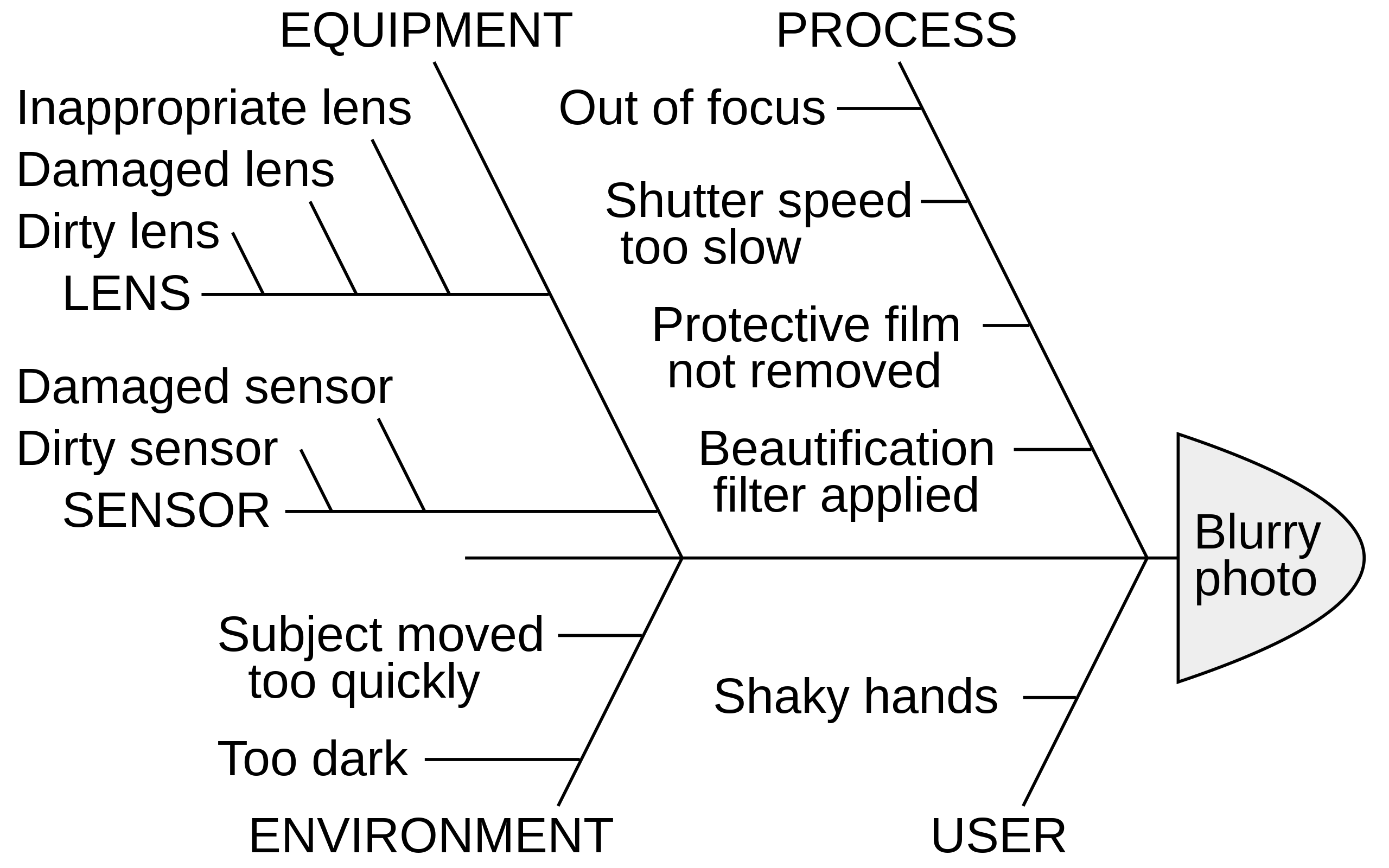 ../_images/fishbone-diagram.png
